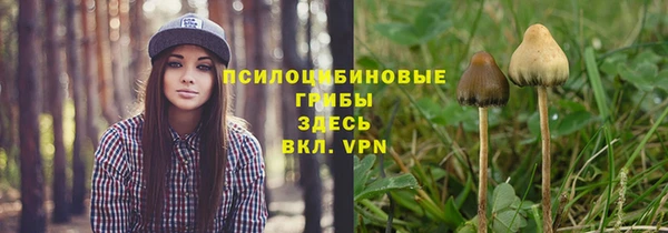 мдпв Покачи